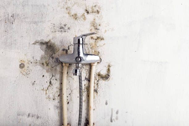 Best Health and Safety Mold Remediation in Enochville, NC